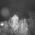 Webcam_20241120-190402