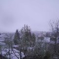 Webcam_20241121-074500