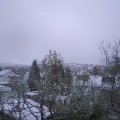 Webcam_20241121-080000