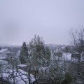 Webcam_20241121-081500