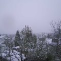 Webcam_20241121-083000