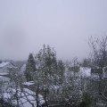 Webcam_20241121-084500