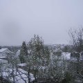 Webcam_20241121-090000