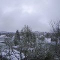 Webcam_20241121-091500