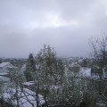 Webcam_20241121-093000