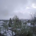 Webcam_20241121-094500