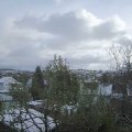 Webcam_20241121-114500