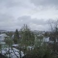 Webcam_20241121-121500