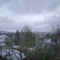 Webcam_20241121-131500