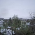 Webcam_20241122-120000