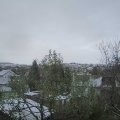 Webcam_20241122-153000