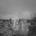 Webcam_20241122-170000