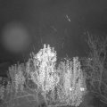 Webcam_20241122-201500