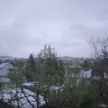Webcam_20241123-101500