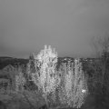 Webcam_20241123-170000
