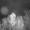 Webcam_20241123-194500