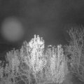 Webcam_20241123-201500