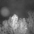 Webcam_20241124-204500