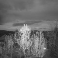 Webcam_20241125-170000