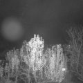 Webcam_20241125-204500