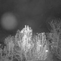 Webcam_20241128-200000