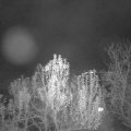 Webcam_20241128-211500