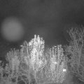 Webcam_20241129-061500