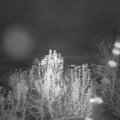 Webcam_20241129-173000
