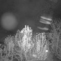 Webcam_20241129-190000