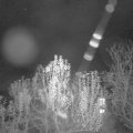 Webcam_20241129-201500