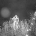 Webcam_20241130-051500