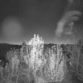 Webcam_20241130-064500