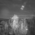 Webcam_20241130-171500