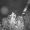Webcam_20241130-174500
