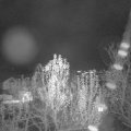 Webcam_20241130-181500