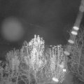 Webcam_20241130-184500