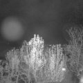 Webcam_20241130-204500