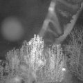 Webcam_20241130-213000
