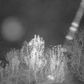 Webcam_20241201-054500