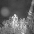 Webcam_20241201-061500
