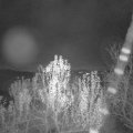 Webcam_20241201-063000
