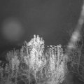 Webcam_20241201-171500