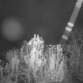 Webcam_20241201-174500