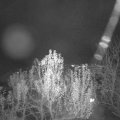 Webcam_20241201-193000