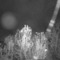 Webcam_20241201-194500