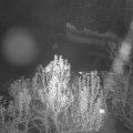 Webcam_20241201-200000