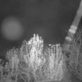 Webcam_20241201-211500