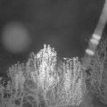 Webcam_20241201-220000
