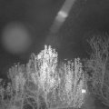 Webcam_20241202-051500