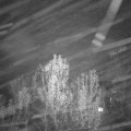 Webcam_20241202-214500
